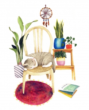 gallery/cozy cat